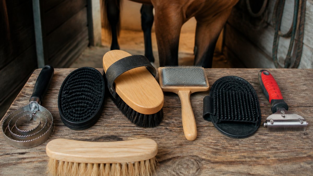 7 Best Horse Grooming Tools for Thick Coats
