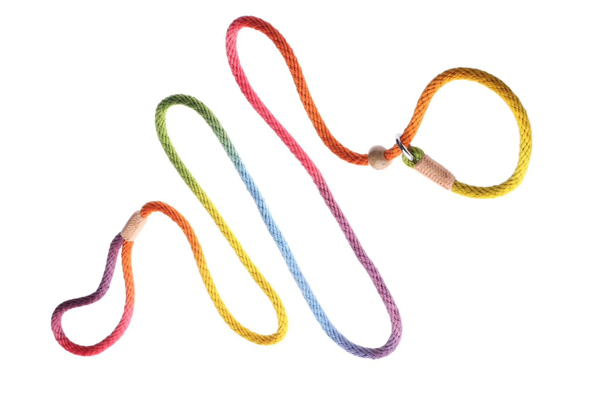 Nylon Slip Leash With 2 Stoppers (6ft  x 5/16in or 8mm)