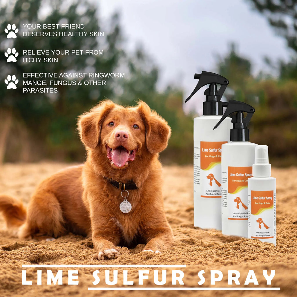 Classic's Lime Sulfur Spray Pet Care for Dry and Itchy Skin - 12 FL OZ, 1