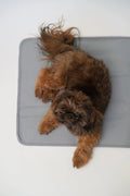 Thera-Pawz Warming Pad - MEDIUM, 1