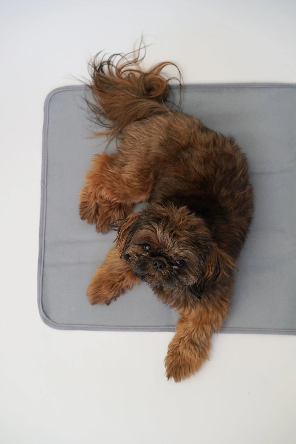Thera-Pawz Warming Pad - SMALL, 1