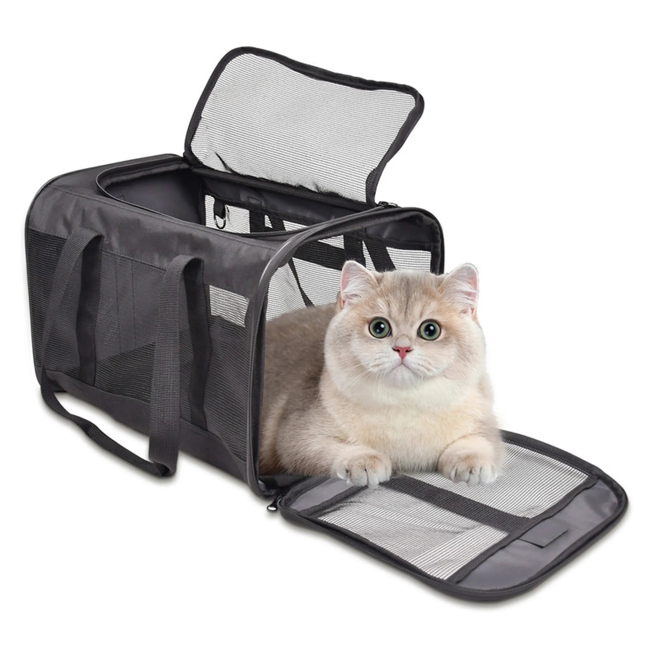 GOOPAWS Soft-Sided Airline Approved Bag Cat Carrier