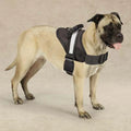 Guardian Gear Excursion Harnesses 36-46In - Black, 15-19IN, 1