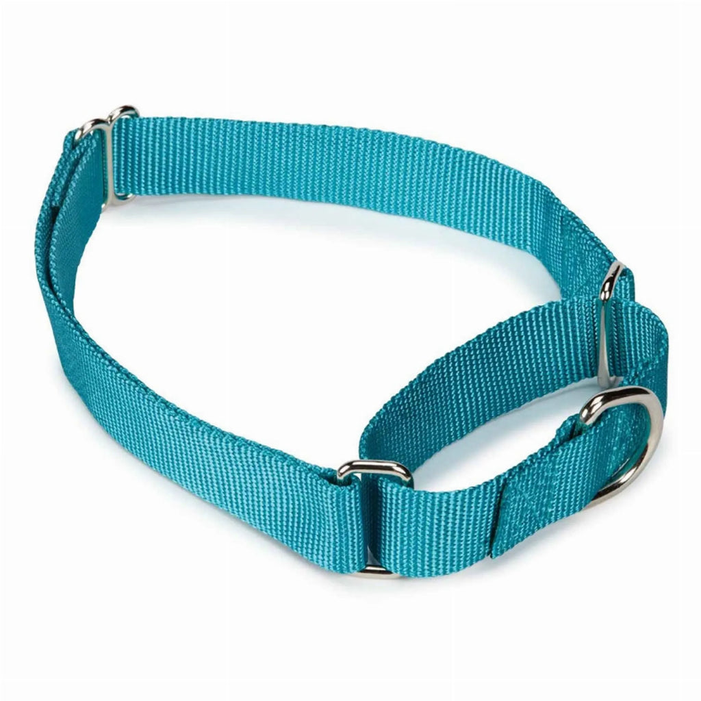 GG Nylon Martingale Collar 10-16In Blk