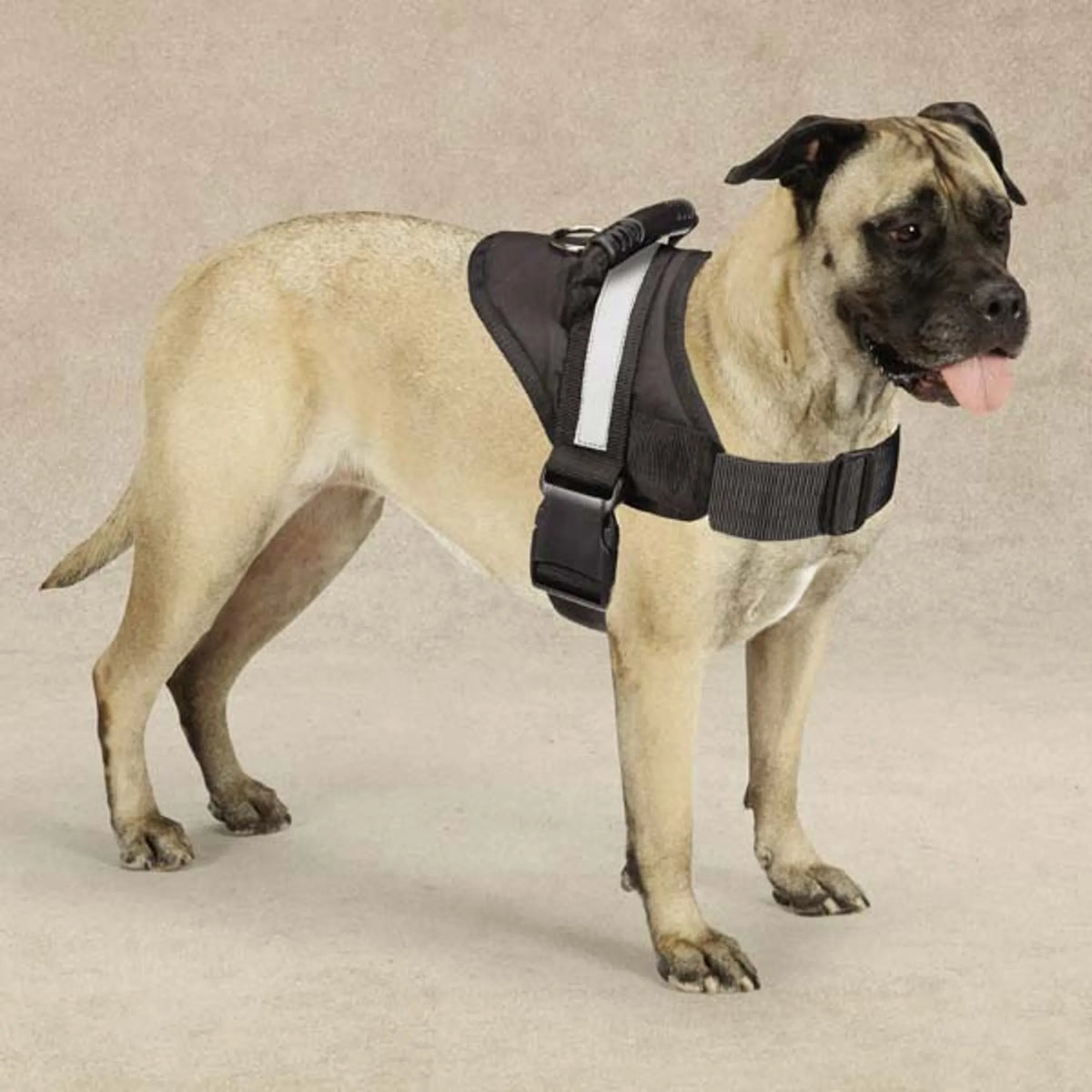Guardian Gear Excursion Harnesses 36-46In - Black, 26-36IN, 1