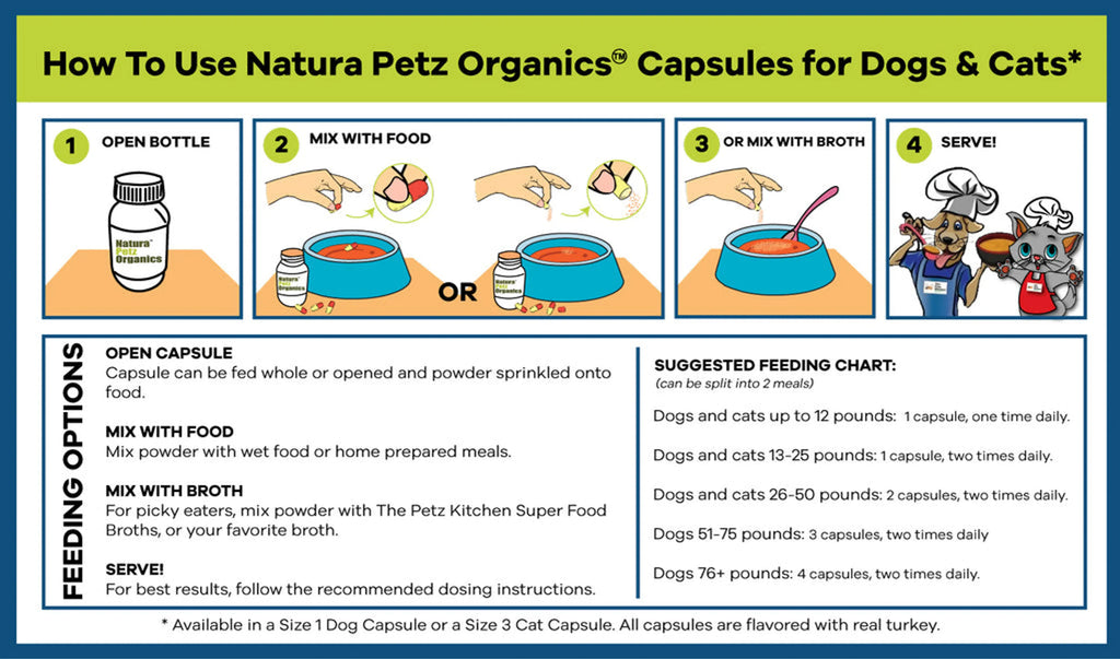 Bionic Body - Antioxidant Bone, Eye, Teeth, Skin & Immune Support - DOG /250 CAPS / 500 MG, 1