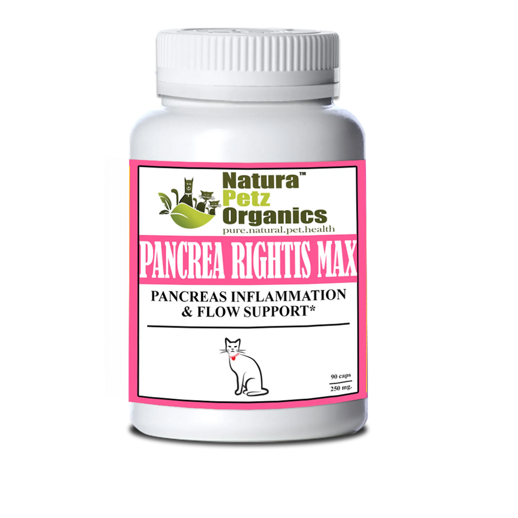 Pancrea Rightis Max Support Capsules Pancreas Inflammation & Flow Support Dogs Cats - CAT - 150 CAPS / 250 MG, 1