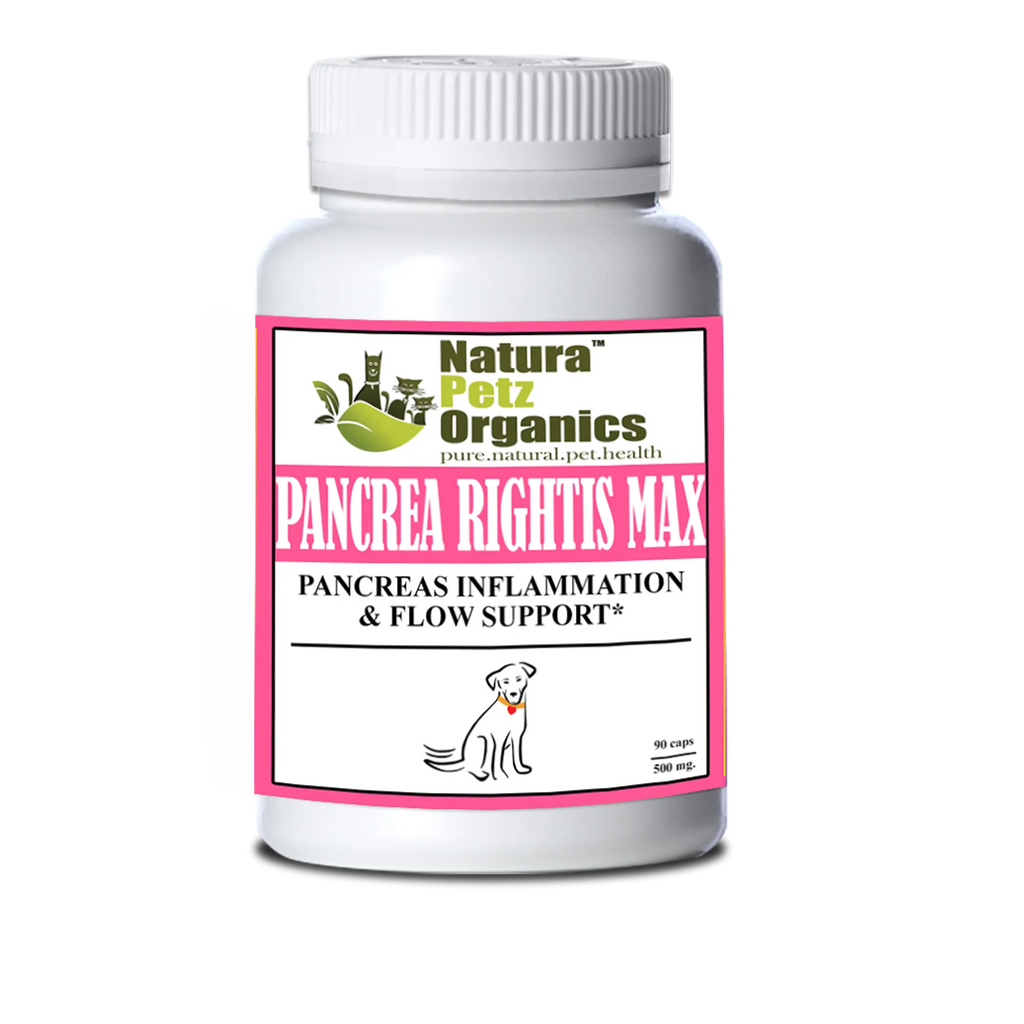 Pancrea Rightis Max Support Capsules Pancreas Inflammation & Flow Support Dogs Cats - DOG - 90 CAPS / 500 MG, 1