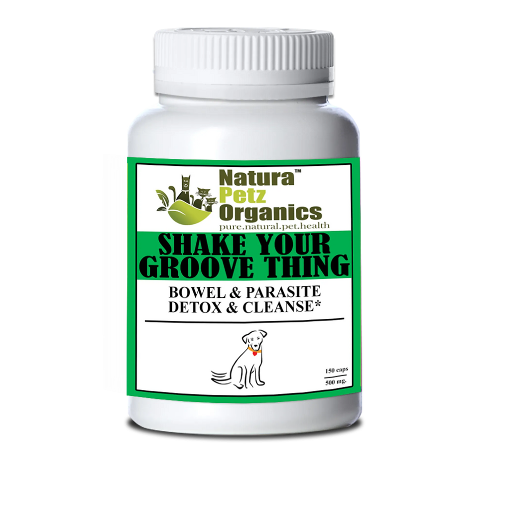 Shake Your Groove Thing - Bowel & Parasite Detox & Cleanse