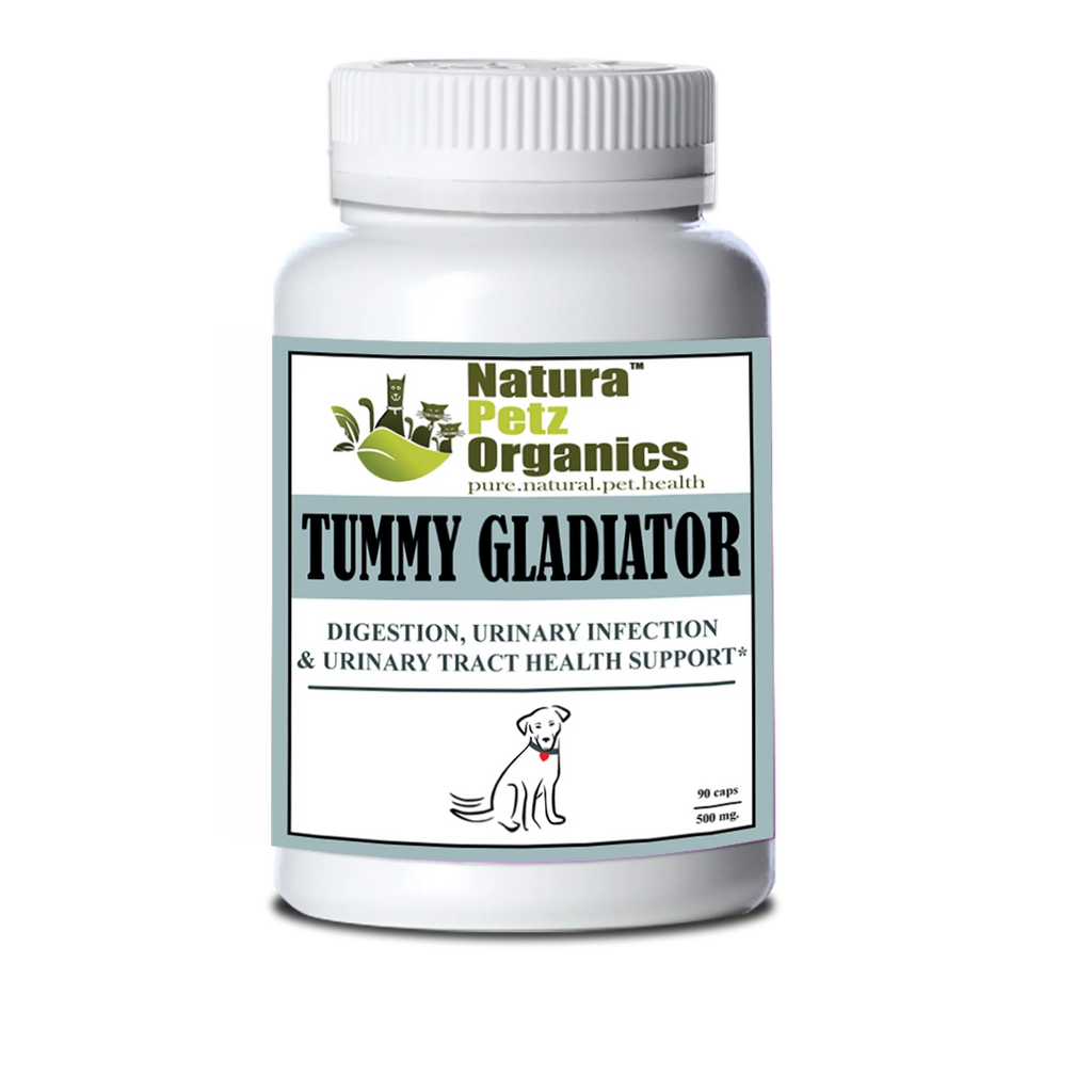 Tummy Gladiator - Digestion, Adjunctive Reflux & Urinary Tract Support