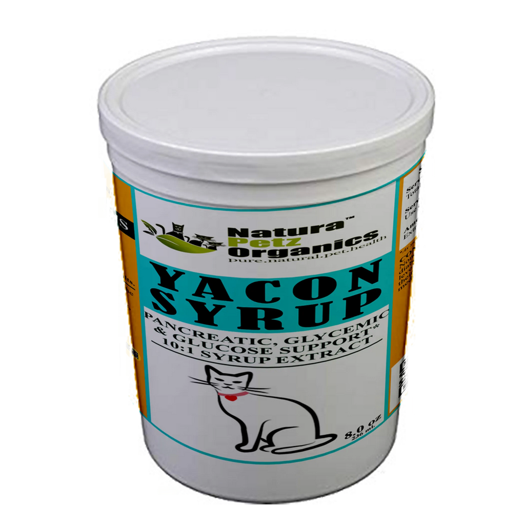 Yacon Leaf Syrup - Pancreatic Support 10:1 The Petz Kitchen Yacon Syrup 10:1 Alcohol Free For Dogs & Cats Meals & Treats