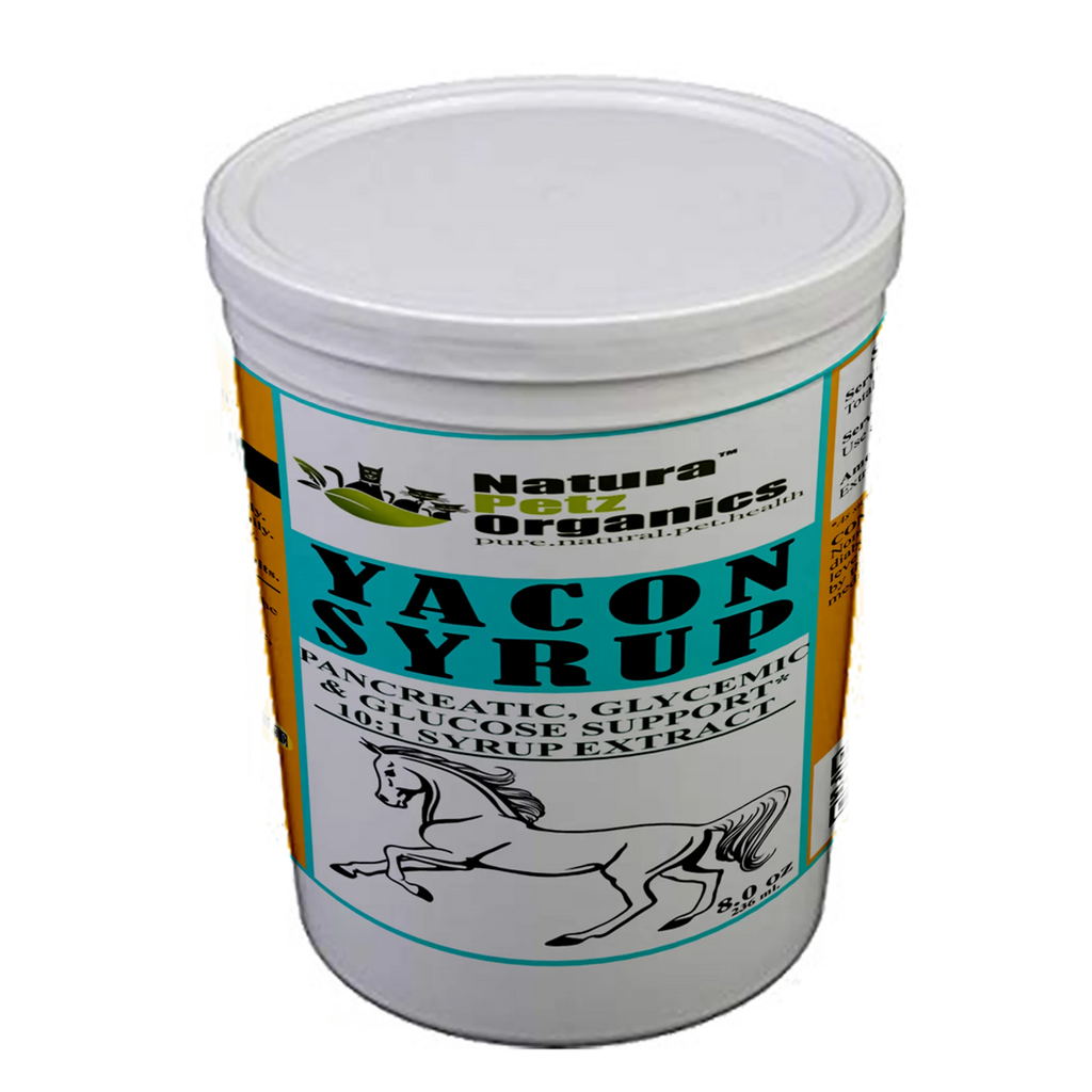Yacon Leaf Syrup - Pancreatic Support 10:1 The Petz Kitchen Yacon Syrup 10:1 Alcohol Free For Dogs & Cats Meals & Treats - 8