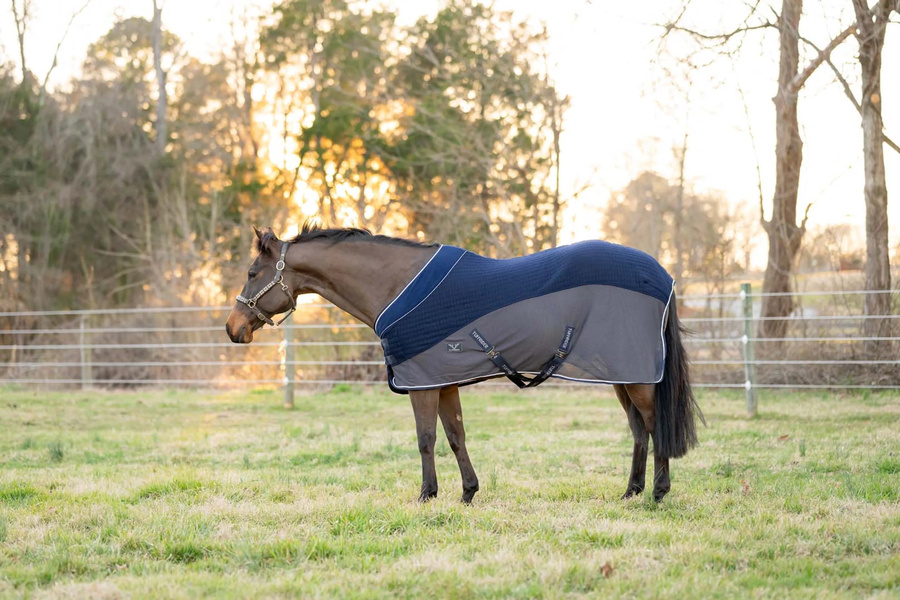 TuffRider Hybrid Standard Neck Cooler-Navy/Gray-69