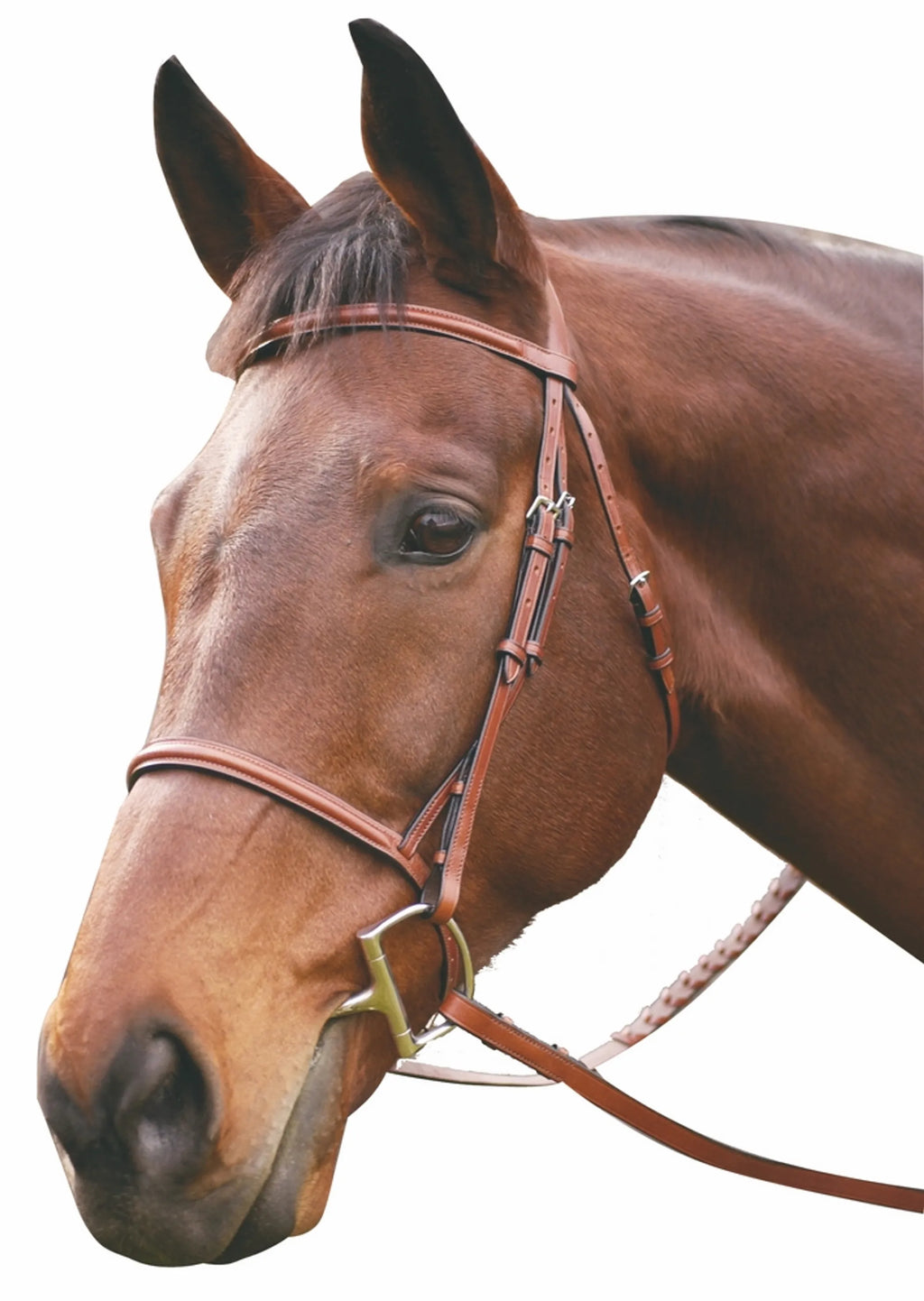 Henri de Rivel Advantage Plain Raised Snaffle Bridle With Laced Reins - Oak Bark - Pony