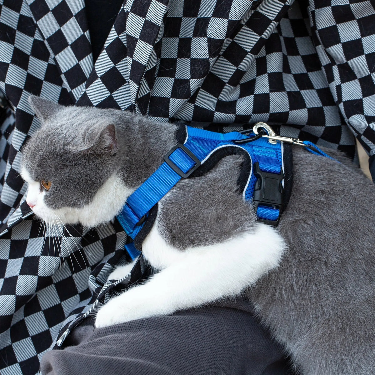 Mr. Peanut's PurrTrek Reflective Cat Harness with Matching Leash - Lilac, SMALL, 1