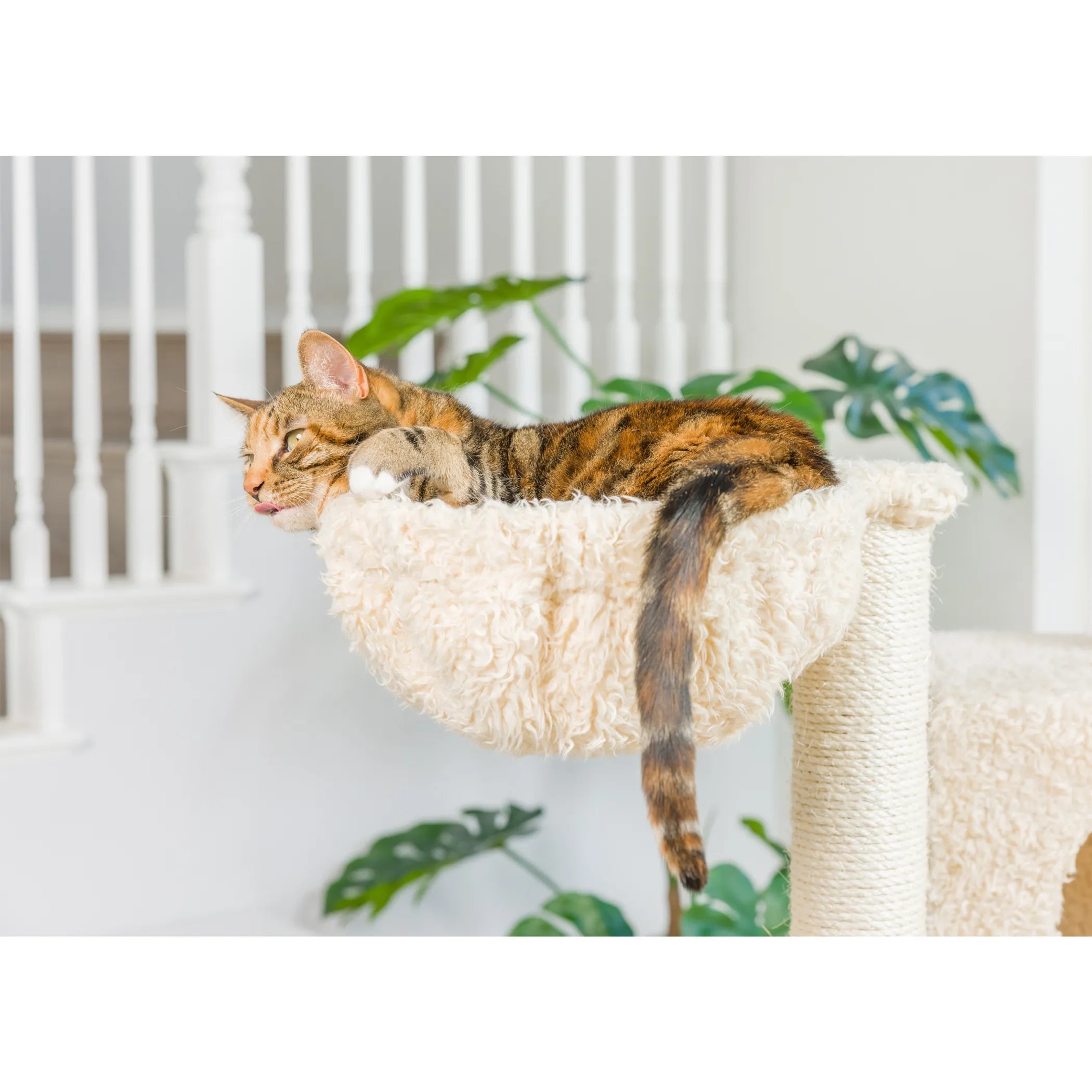 Armarkat Real Wood Multi Level Cat Tree Climber A6901