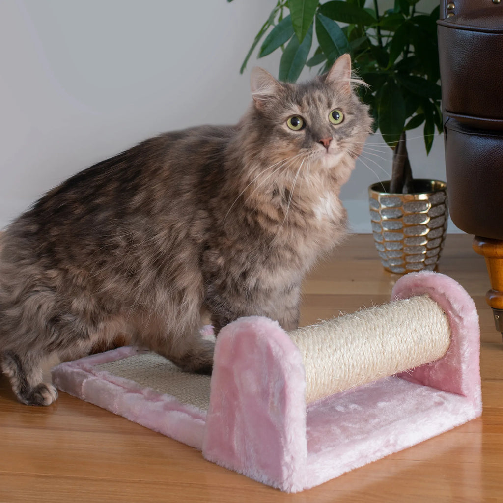 Armarkat RollIng Cat Scratcher Toy, Sisal  Board for Cats