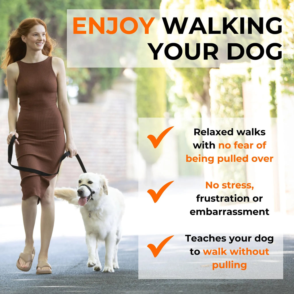 Canny Colossus No-Pull Dog Head Collar Gentle & Humane Leash Training Aid