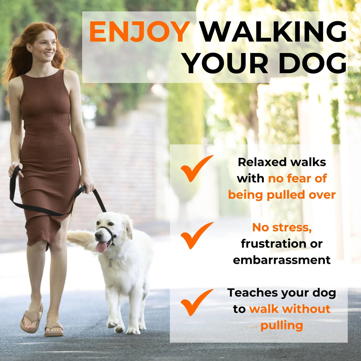 Canny Colossus No-Pull Dog Head Collar Gentle & Humane Leash Training Aid