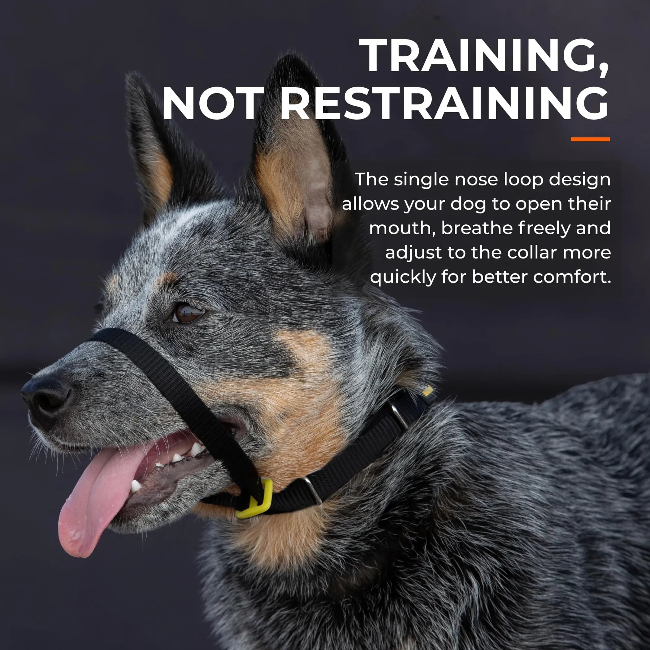 Canny Colossus No-Pull Dog Head Collar Gentle & Humane Leash Training Aid
