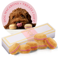 Dog Macarons - Box of 6 (Available in 12 Flavors) - 1, Pumpkin