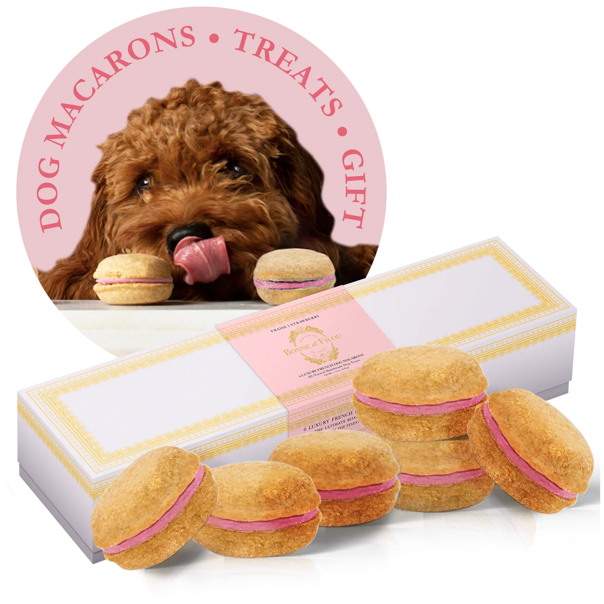 Dog Macarons - Box of 6 (Available in 12 Flavors) - 1, Pumpkin
