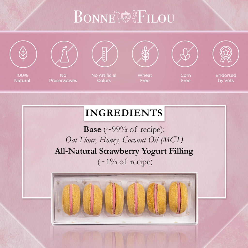 Dog Macarons - Box of 6 (Available in 12 Flavors) - 1, Birthday cake