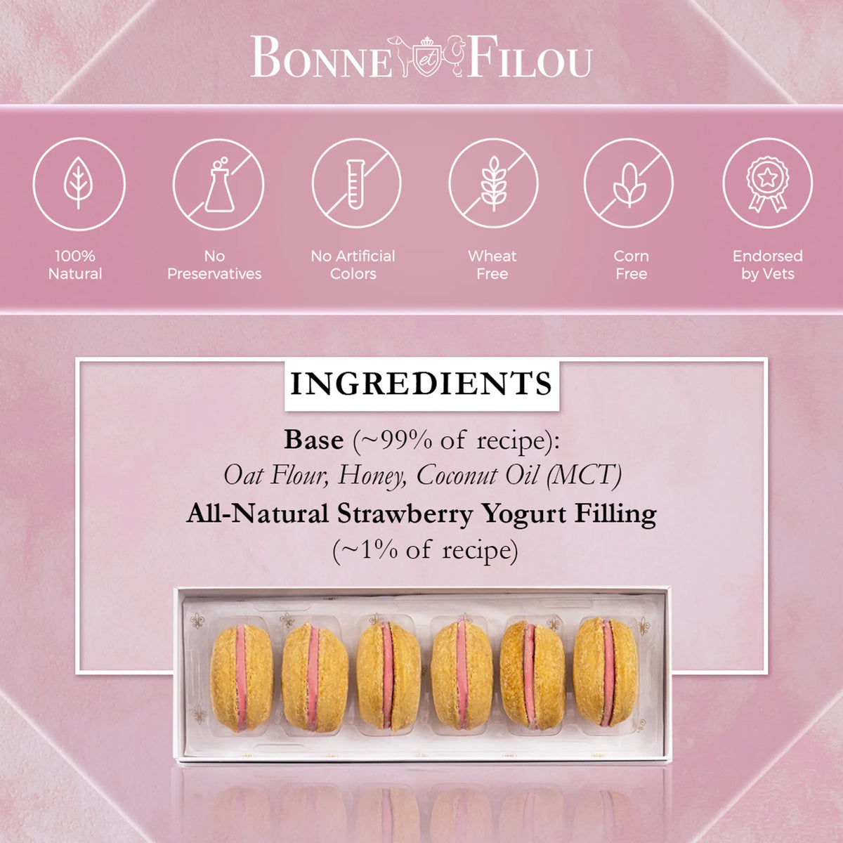 Dog Macarons - Box of 6 (Available in 12 Flavors) - 1, Birthday cake