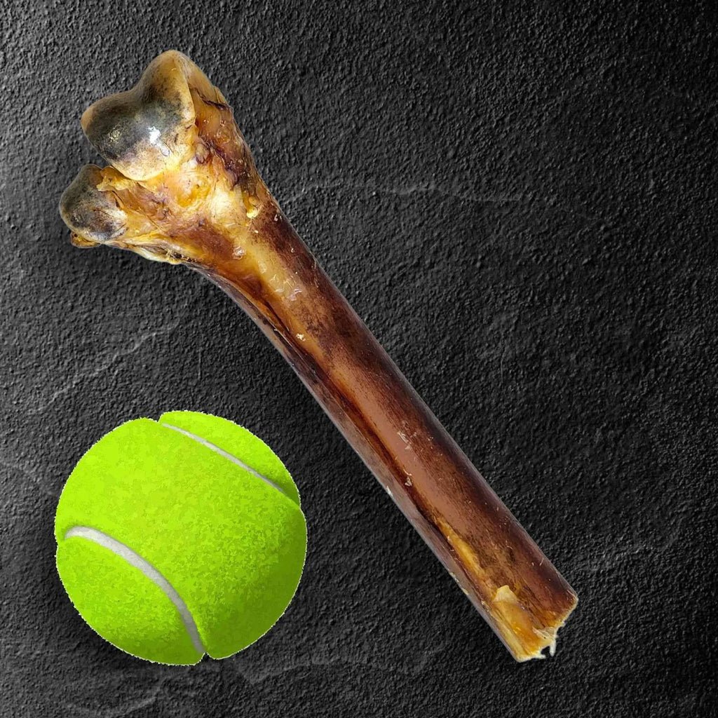 Medium Ostrich Cane : The Long-Lasting, Flavor-Packed Chew for Medium & Large Dogs - 10" X 3", 8