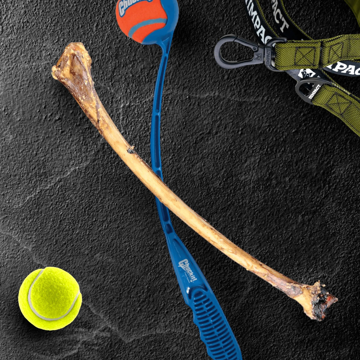 Ostrich Wing Bone : The Ultimate Long-Lasting Chew for Small Dogs & Light Chewers - 13" X 1.5", 8