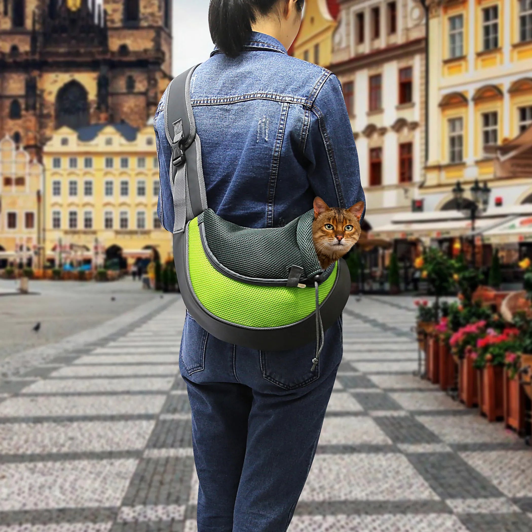 Pet Carrier for Dogs Cats Hand Free Sling
