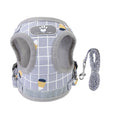 Pet Mesh Harness Dog Leash Set