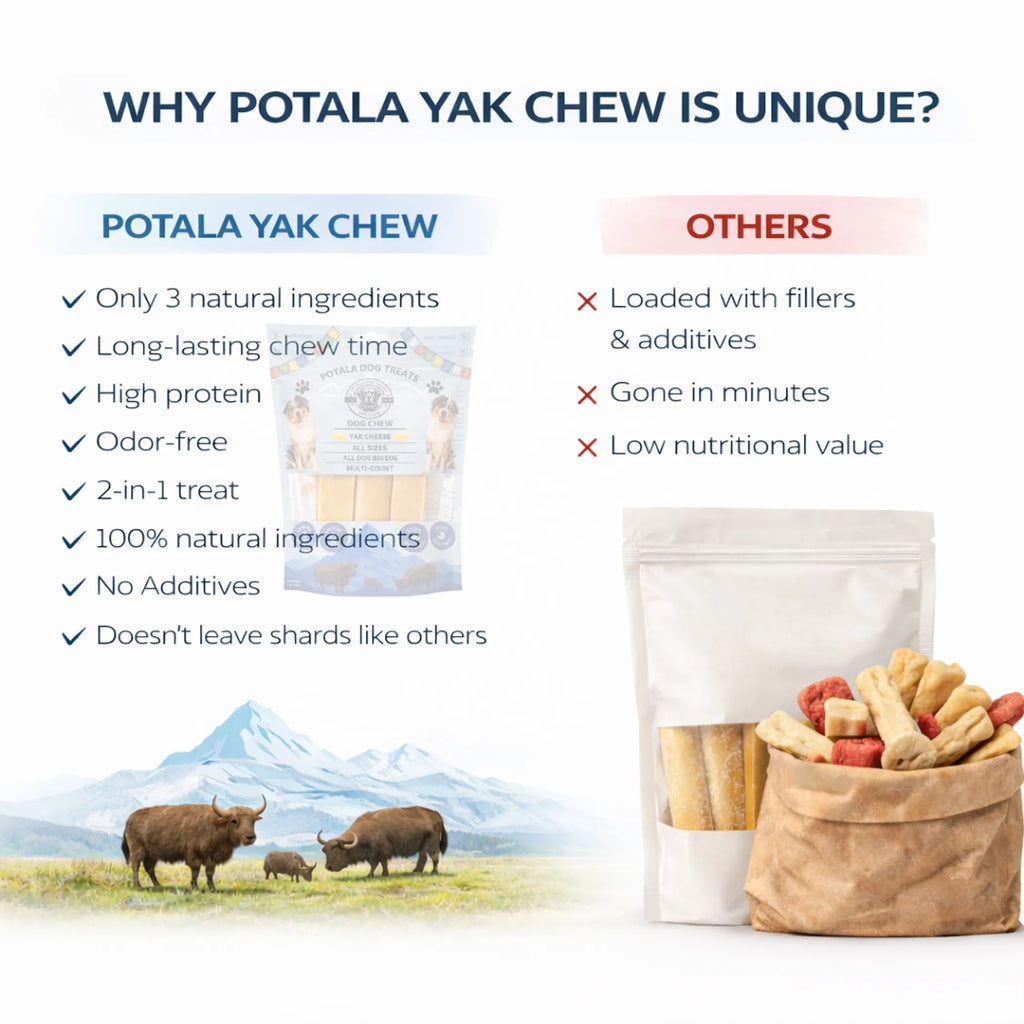 Potala Dog Chew - L, 1, 3