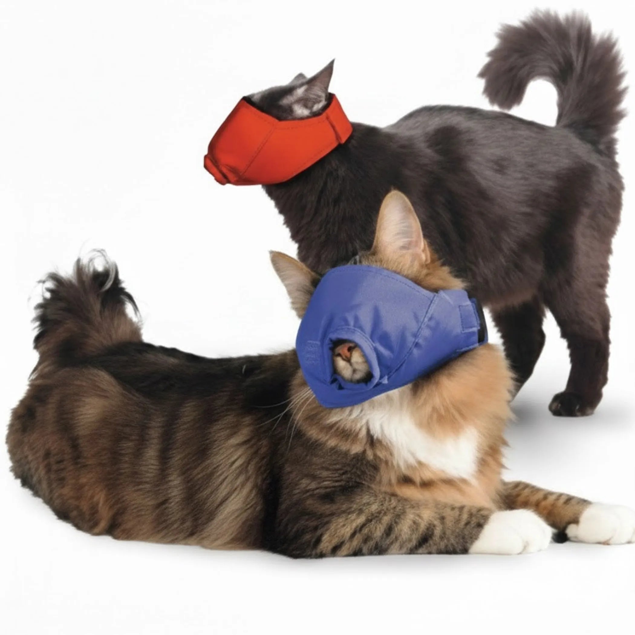 Quick Muzzle for Cats Set