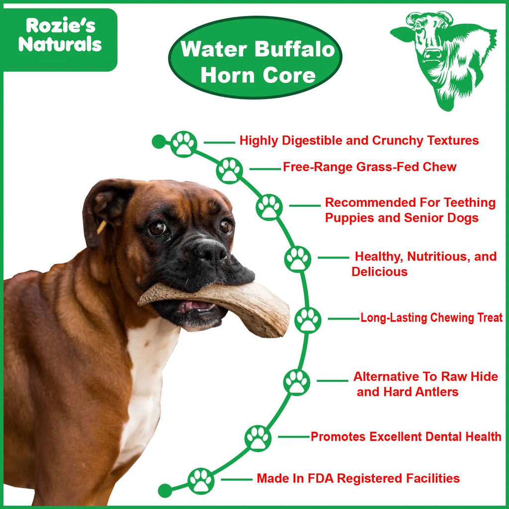 WATER BUFFALO HORN CORE-Horn Inner Part-100% Natural, High Protein, Long-Lasting, Grain-Free, Gluten-Free, Low-Fat, Dog