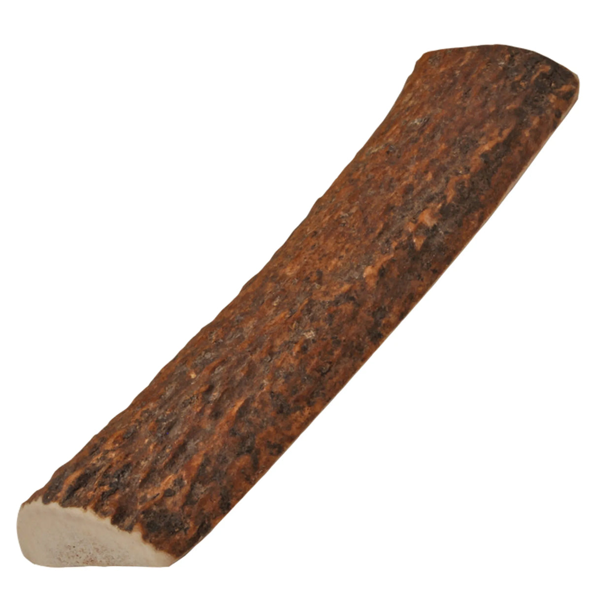 Natural Elk Antlers - SMALL, 1, Whole