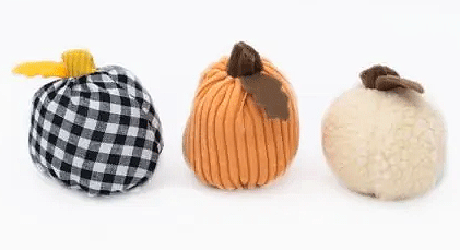 HALLOWEEN Miniz Gourds 3pk