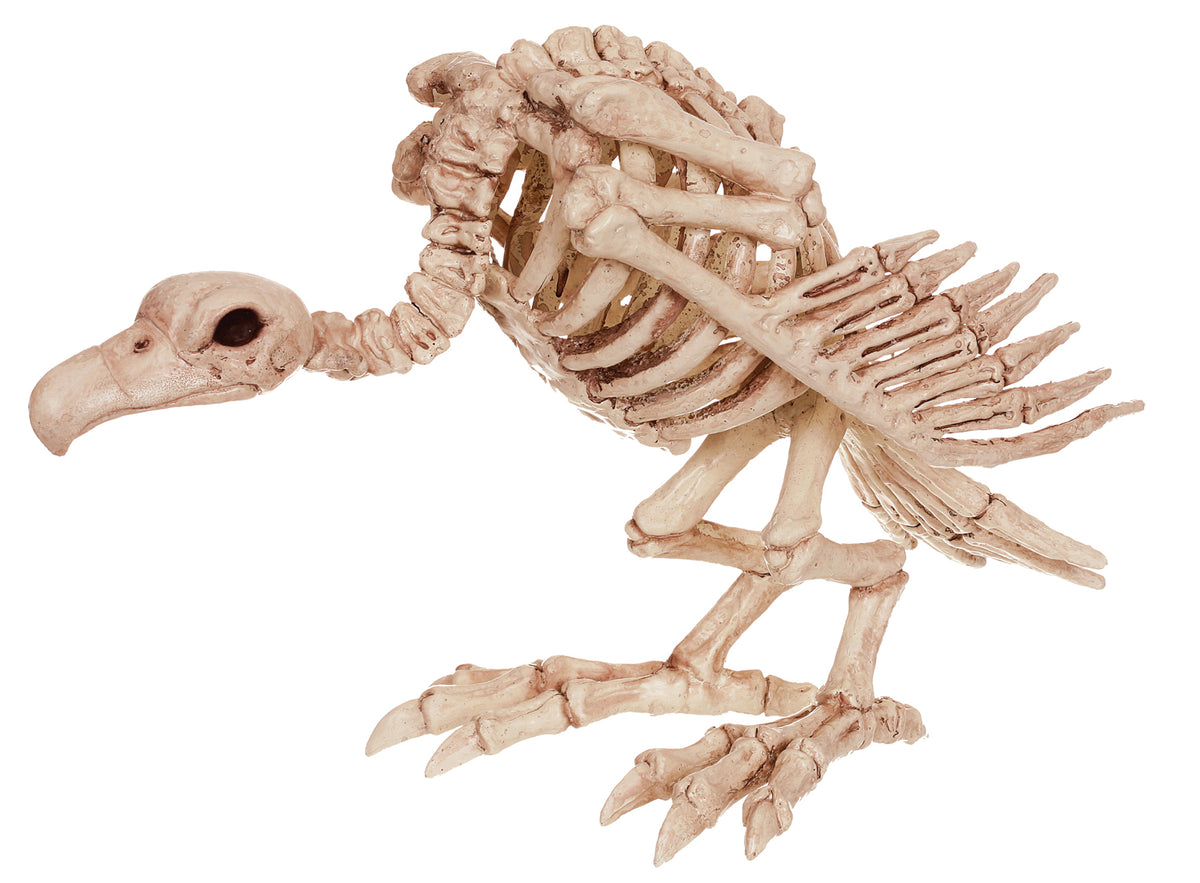 SKELETON VULTURE DECORATION